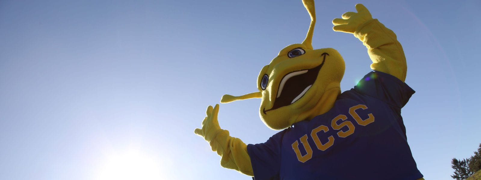 Sammy the Slug - UCSC Mascot